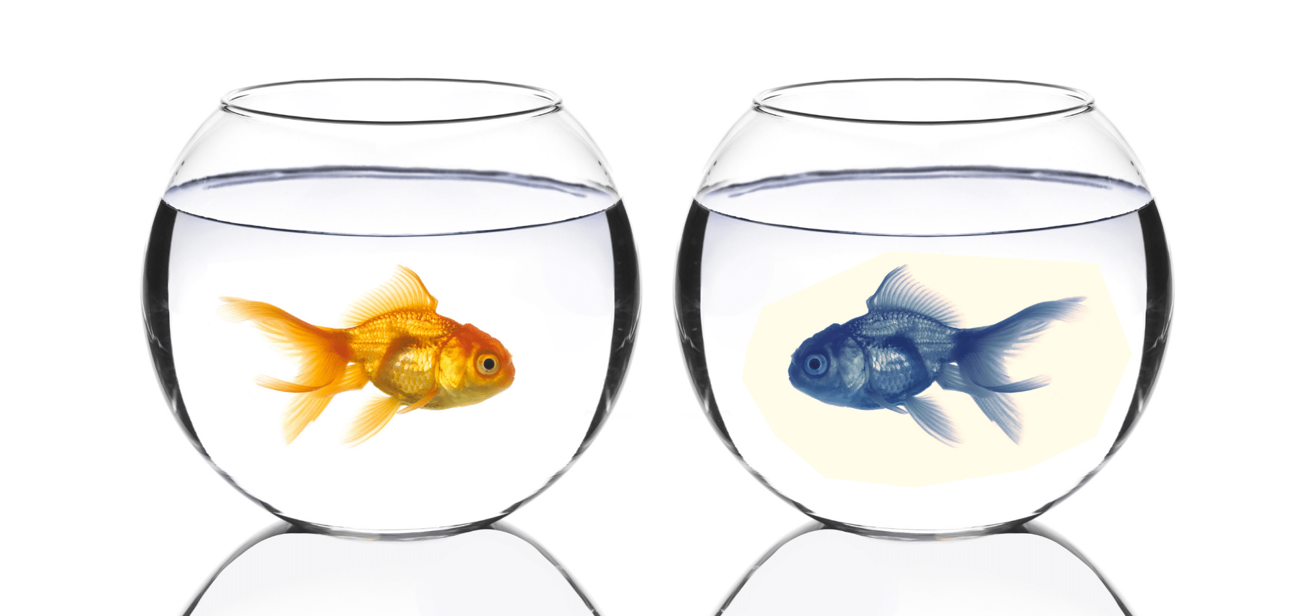 Copy-of-ITS-NOT-JUST-PRETTY-6 Positioning -OC interactive Digital Brand Strategy & Marketing Agency