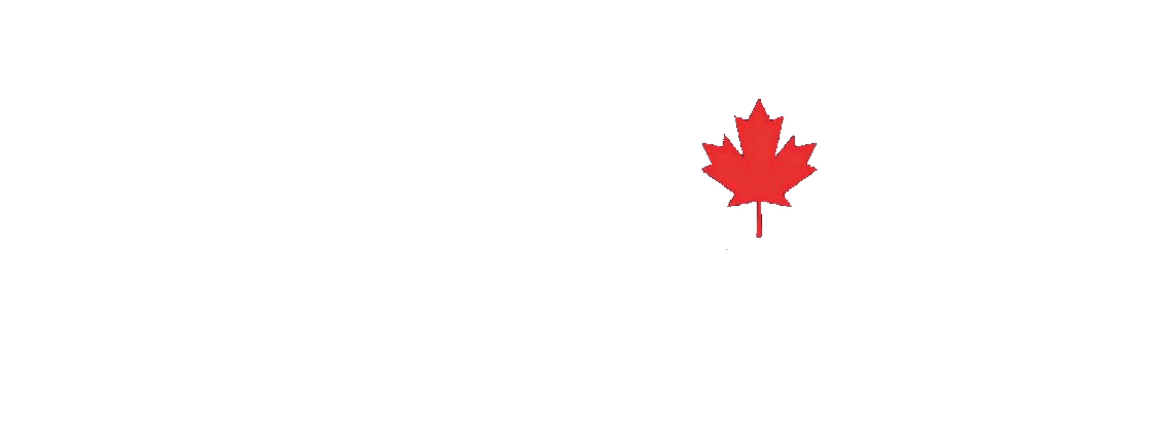 Logo of blackbiblio.com featuring white text and a silhouette of a profile with a red maple leaf on a green background. OCIDM,io Branding and Digital marketing Hamilton, Toronto, Oakville, Mississauga
